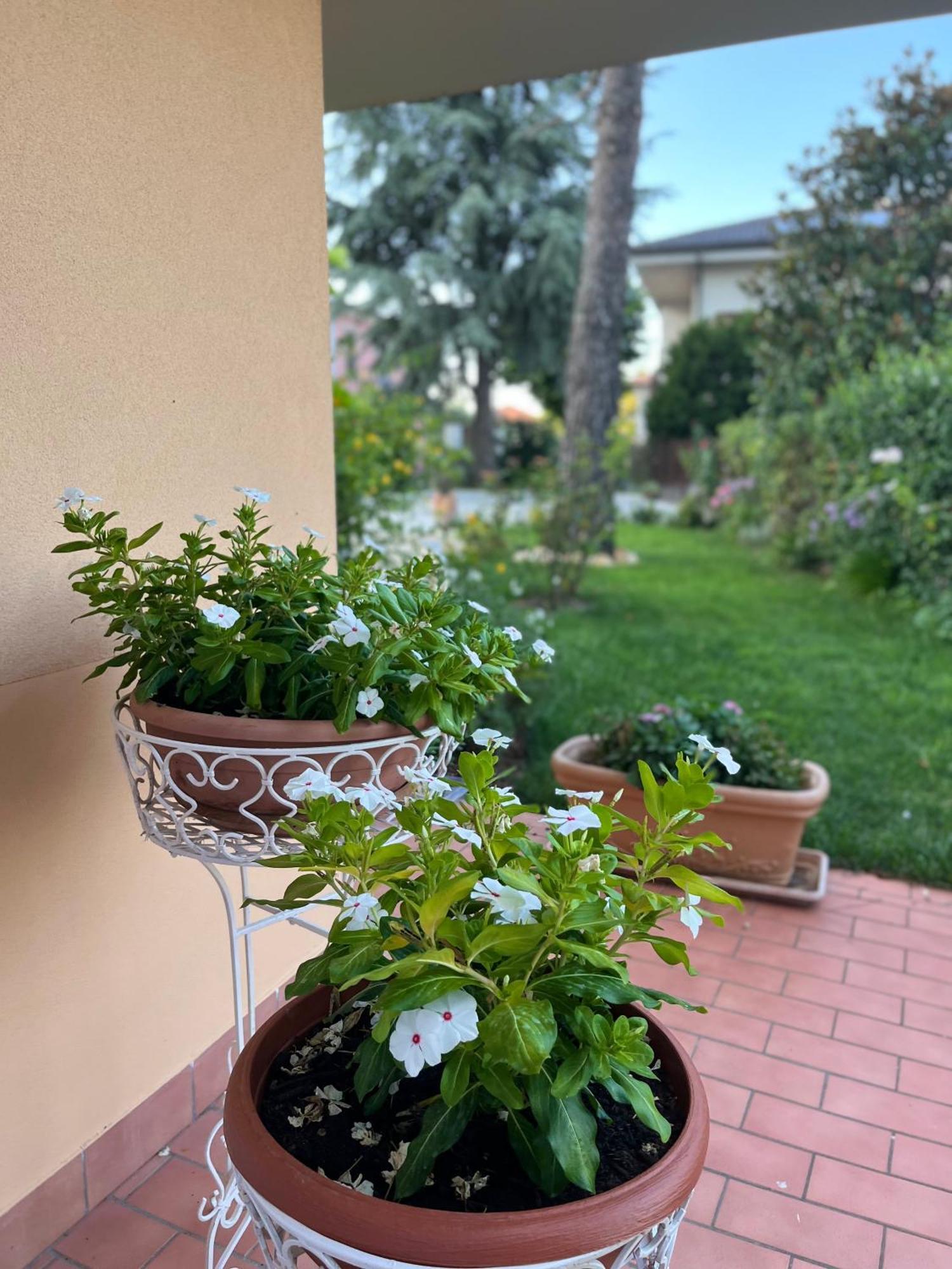 Salge B&B Residenza Di Charme Colonnella Exterior photo